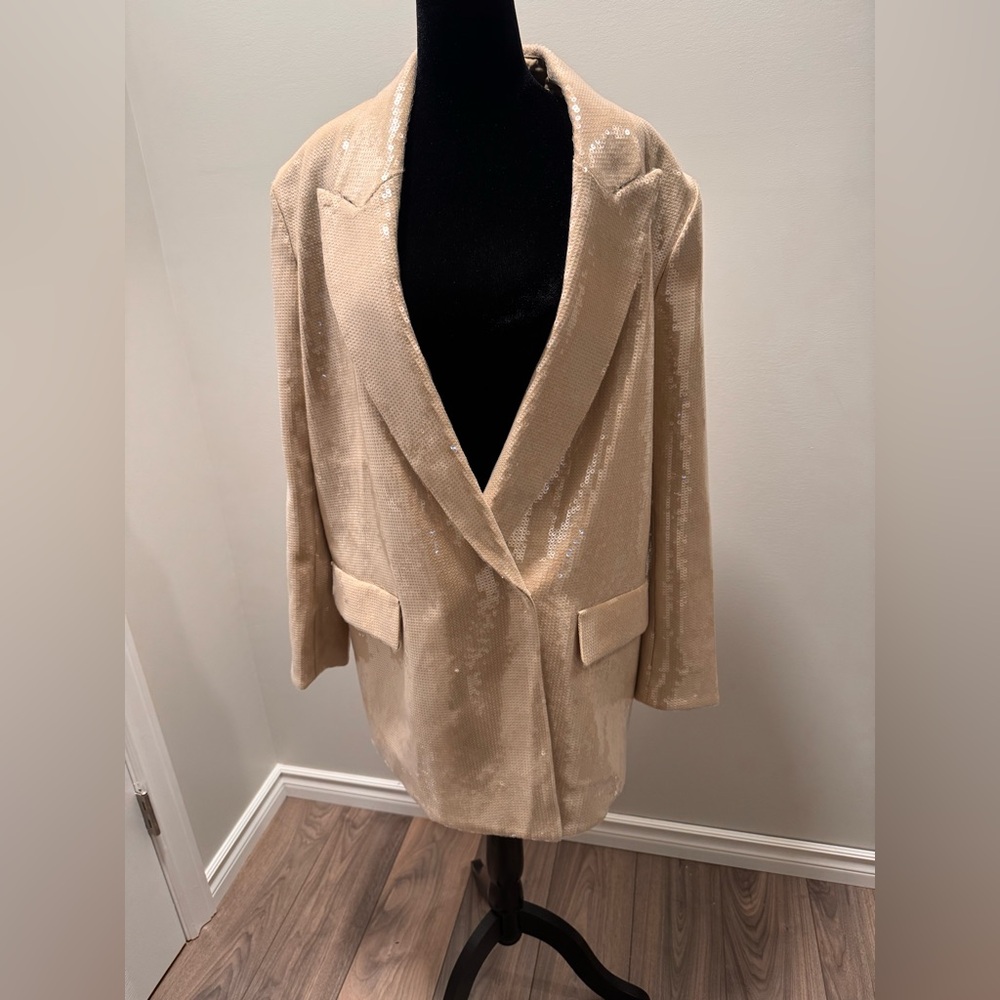 H&M Sequined Blazer